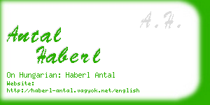 antal haberl business card